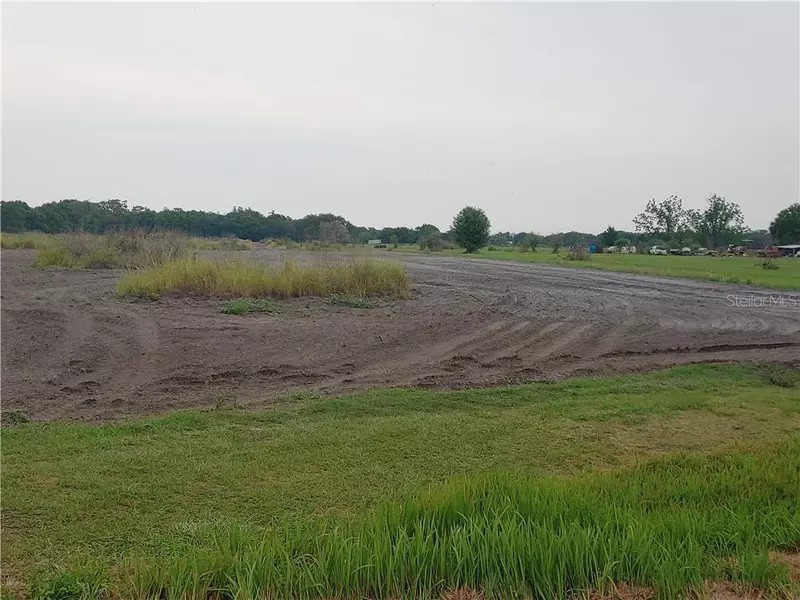 FISH BRANCH, Zolfo Springs, FL 33890