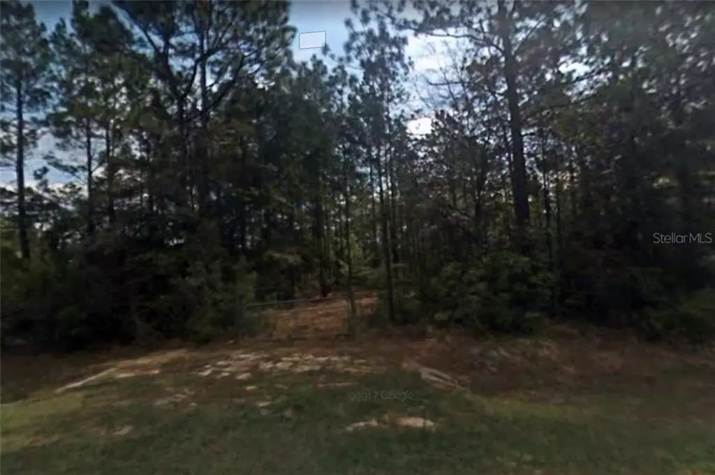 Wewahitchka, FL 32465,100 S BASS DR