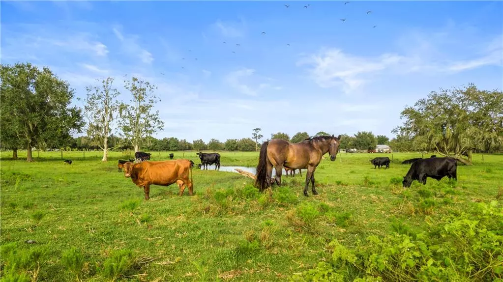 8015 VERNA BETHANY RD RD, Myakka City, FL 34251