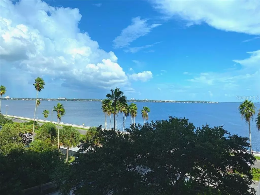 Tampa, FL 33629,2401 BAYSHORE BLVD #608