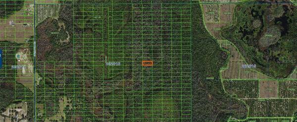 SWEETHILL RD, Polk City, FL 33868