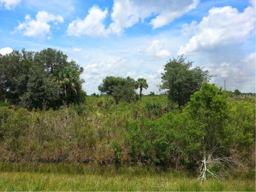 16785 NW 308TH ST, Okeechobee, FL 34972