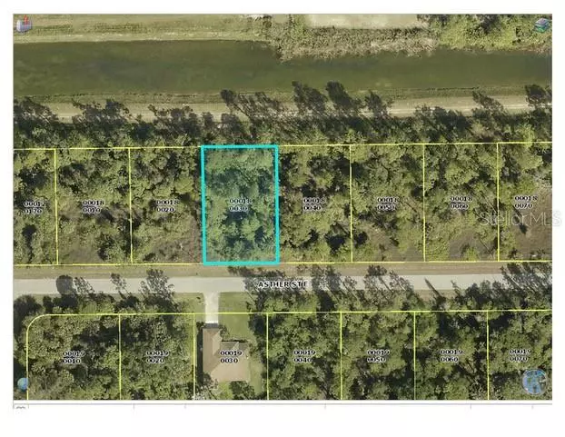 1041 ASTHER ST, Lehigh Acres, FL 33974