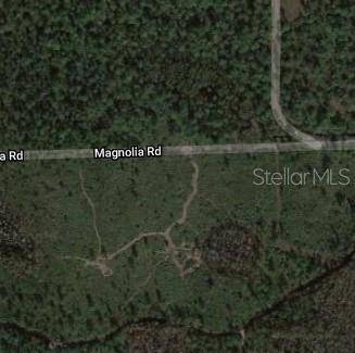 MAGNOLIA RD, New Smyrna Beach, FL 32168