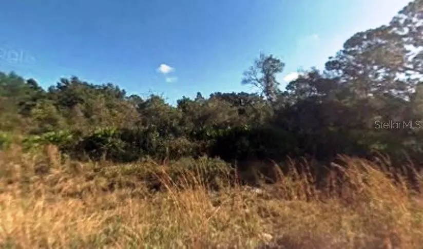 2900 FITCH AVE, Alva, FL 33920