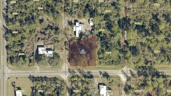 CORRINE AVE, Paisley, FL 32767