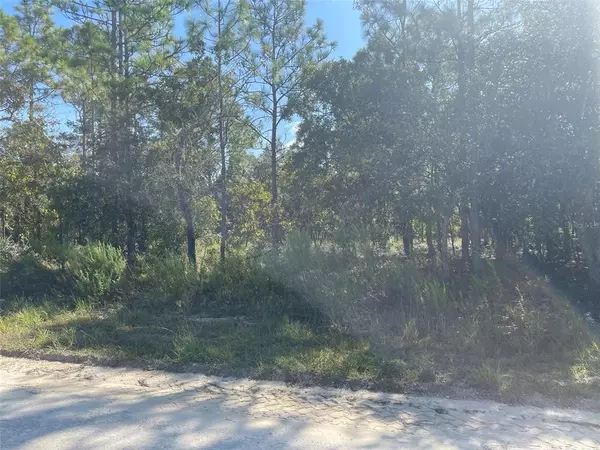 Weeki Wachee, FL 34614,07 GRACKLE RD