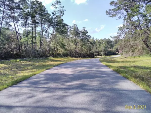 Ocala, FL 34473,SW 50TH TERR RD LOT 13