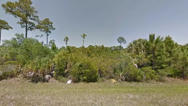 Port Charlotte, FL 33953,14022 RITTER AVE