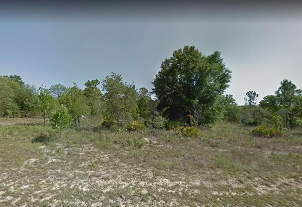 Citrus Springs, FL 34434,1547 W PENDLETON ST