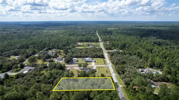 Eustis, FL 32736,00 ROYAL TRAIL RD