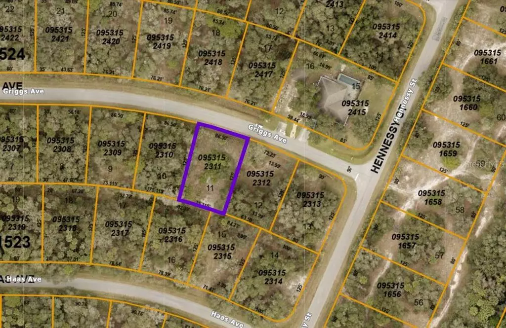 North Port, FL 34291,0953152311 GRIGGS AVE