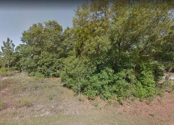 8682 N SPARTAN DR, Citrus Springs, FL 34433