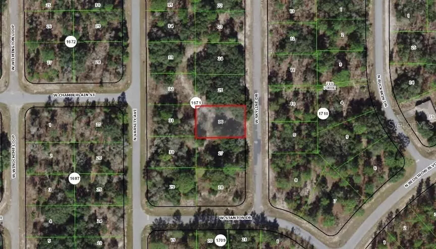 Citrus Springs, FL 34434,1987 W SKYLINE DR