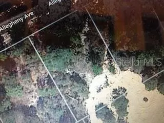 409 ALLEGHENY AVE, Lake Placid, FL 33852