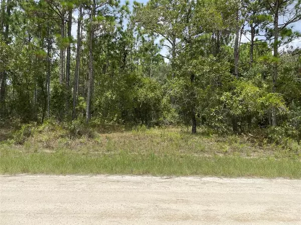 Weeki Wachee, FL 34614,08 DUSKY SPARROW RD