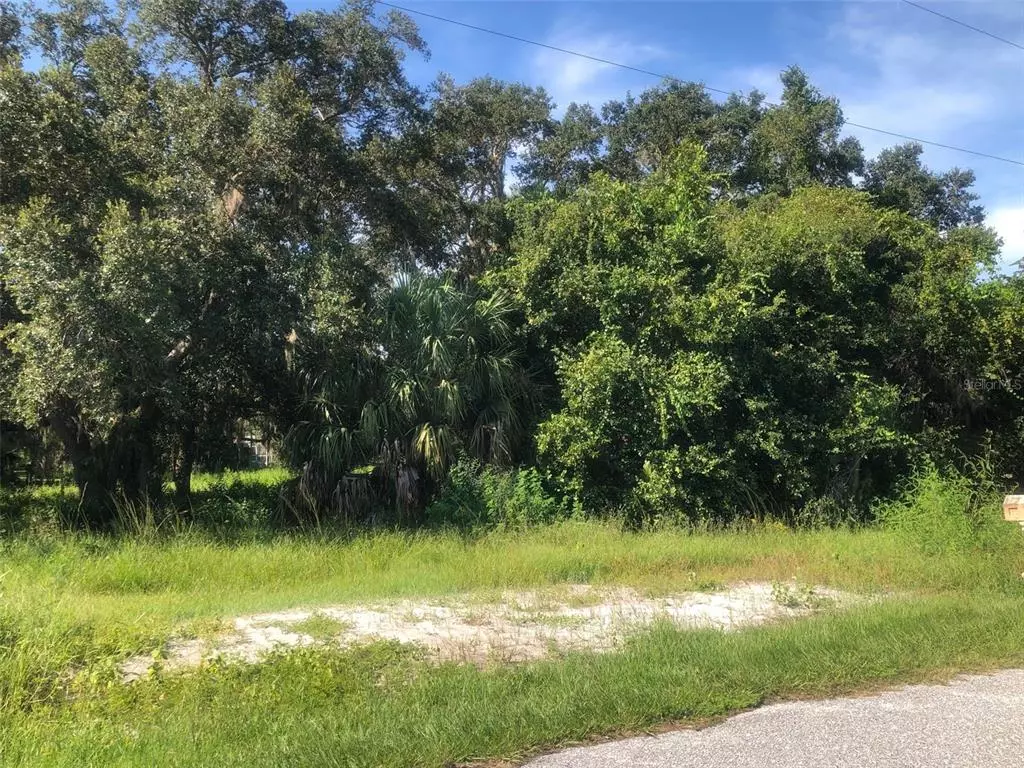Arcadia, FL 34269,9205 SW LIVERPOOL RD