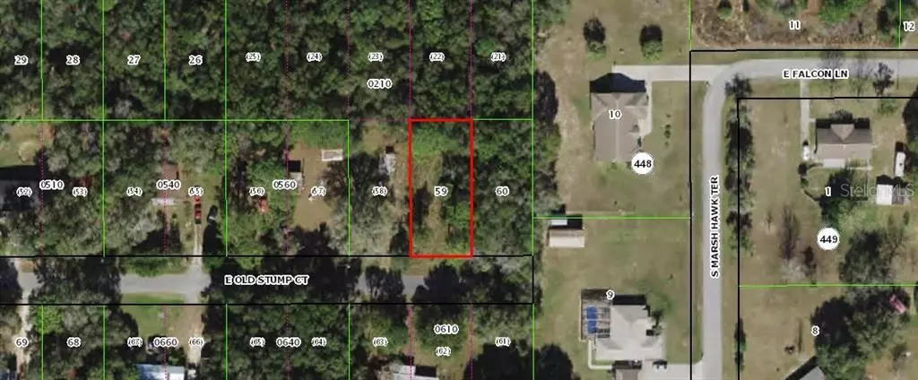 5383 E OLD STUMP CT, Inverness, FL 34452