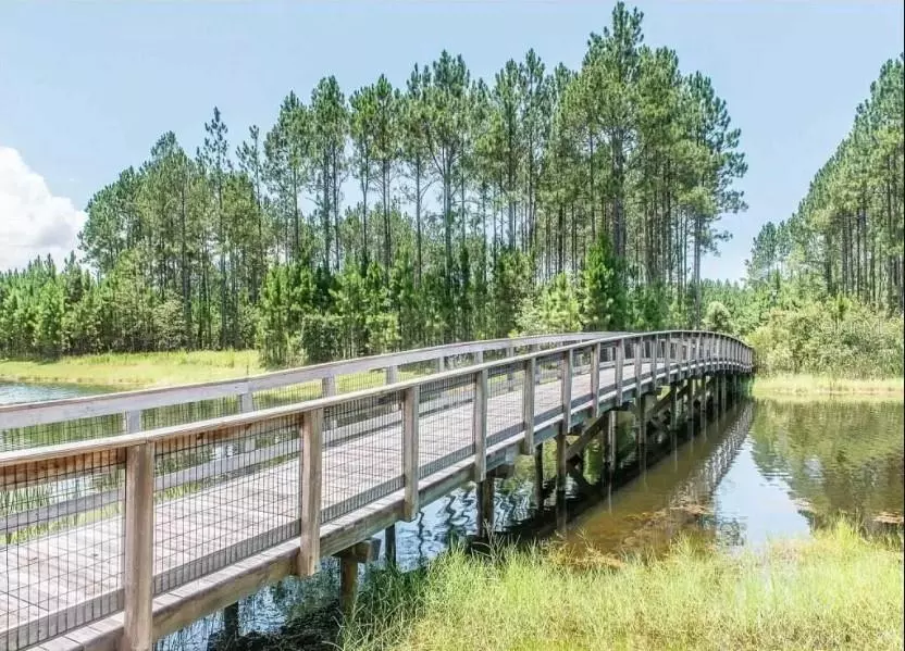 Wewahitchka, FL 32465,CREEK PINES CIR