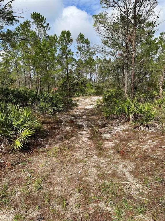 29351 BETTS RD, Myakka City, FL 34251