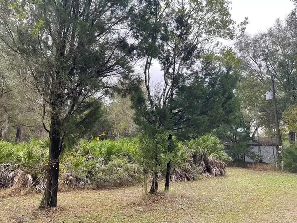 11177 S KNIGHTSWOOD PT, Homosassa, FL 34446