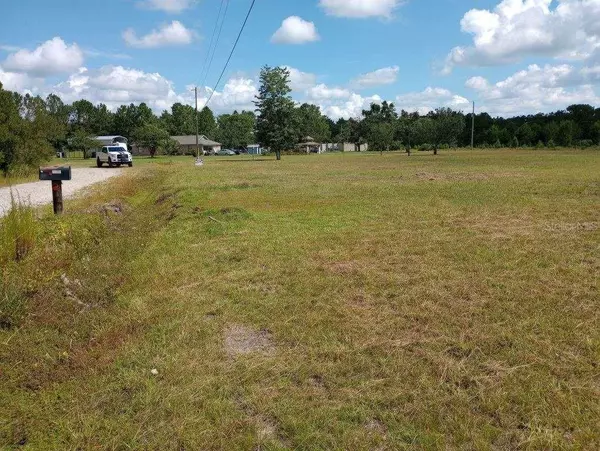 Middleburg, FL 32068,5277 OTTER LN