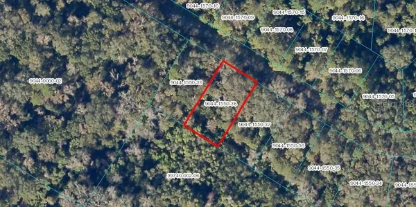 SEQUOIA LOOP DR, Ocklawaha, FL 32179