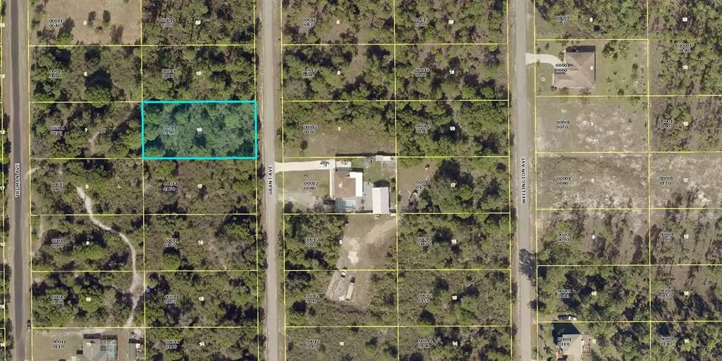 Lehigh Acres, FL 33972,811 GRANT AVE