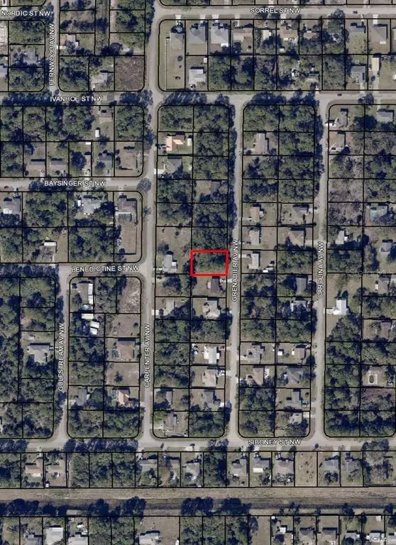 Palm Bay, FL 32907,450 GRENADIER AVE NW