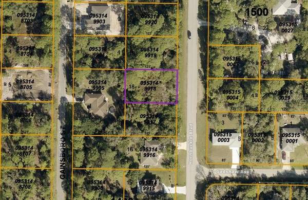 HORNBUCKLE BLVD, North Port, FL 34291