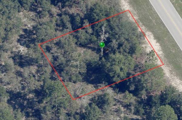 8260 N ELKCAM BLVD, Citrus Springs, FL 34433