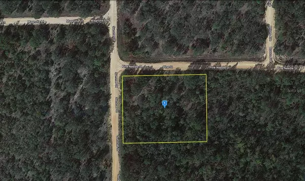 538 SUMMER ST, Marianna, FL 32448