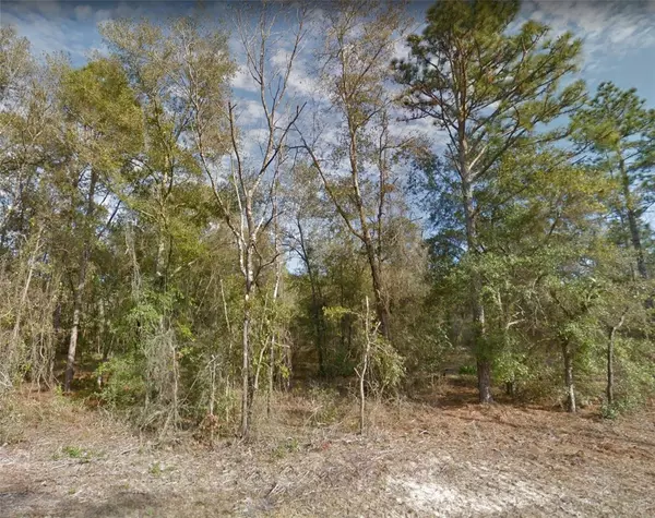 Bronson, FL 32621,00 NE 83 LN