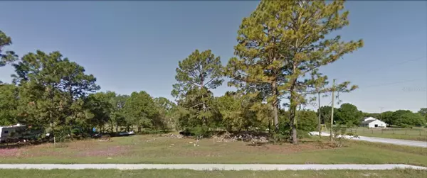 Belleview, FL 34420,8156 SE 121ST PL