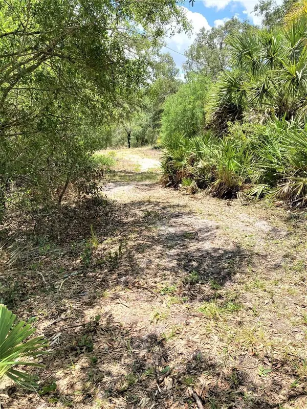 Wimauma, FL 33598,BUTCH CASSIDY TRAIL AND WAGONWHEEL RD