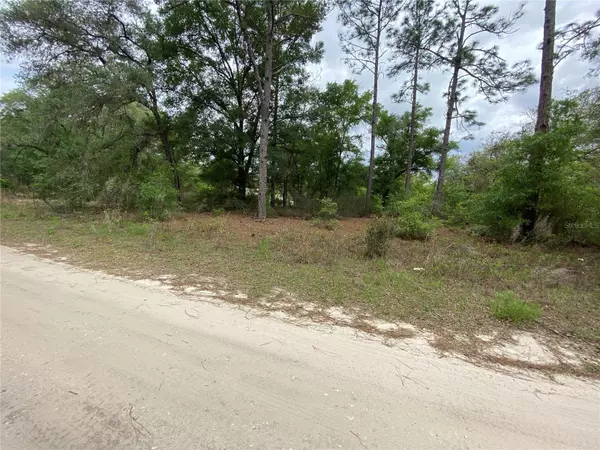 Bronson, FL 32621,0 NE 78TH LN