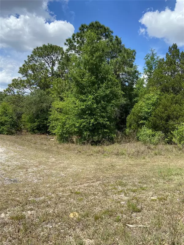 0 SW PINE BLUFFS RD, Dunnellon, FL 34431