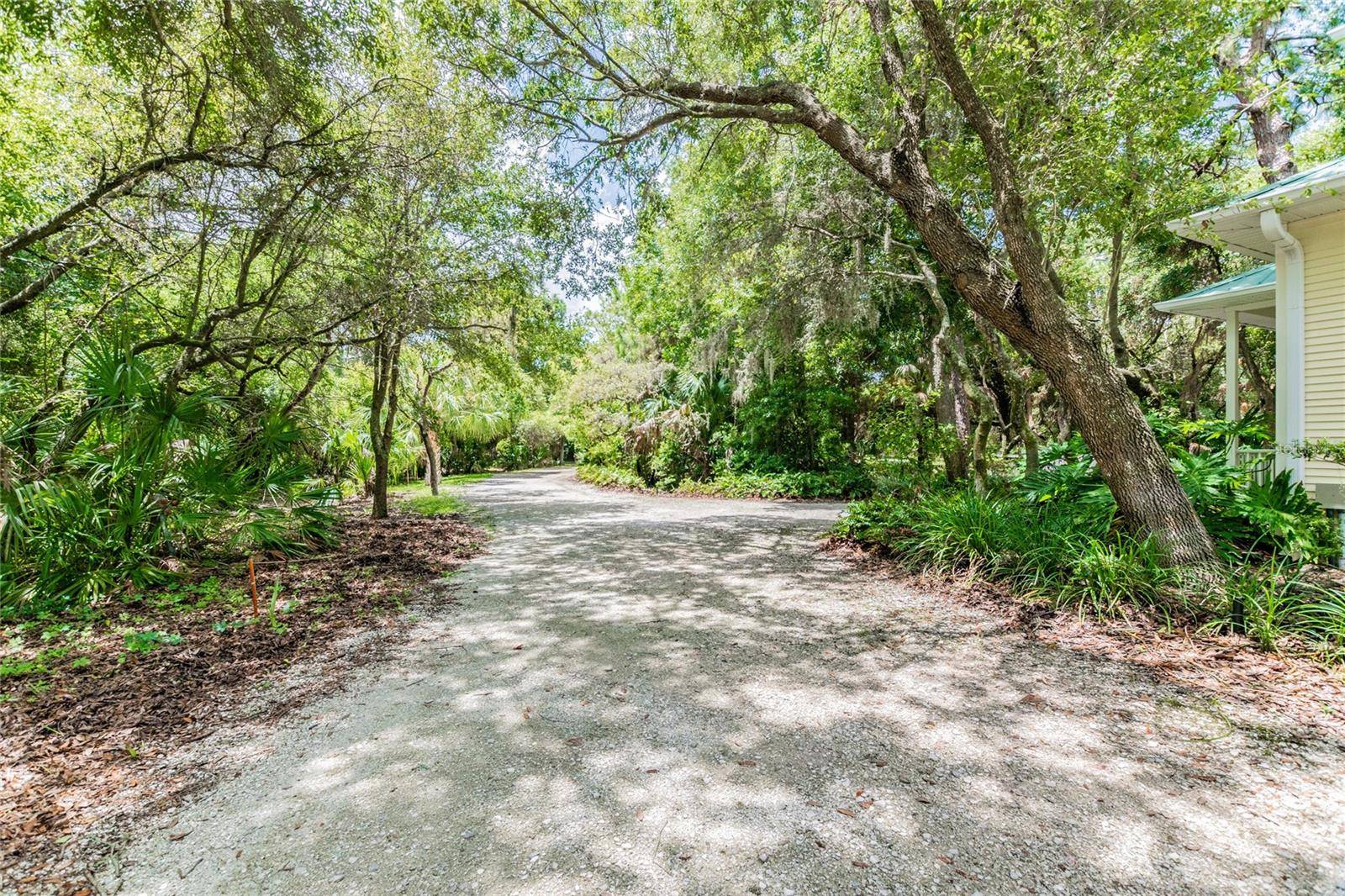 Tarpon Springs, FL 34689,1130 ANCLOTE RD