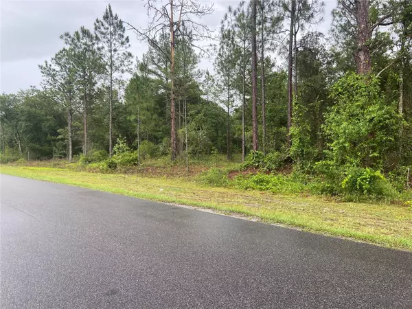 Dunnellon, FL 34431,TBD SE 114TH PL