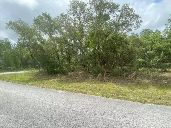 Dunnellon, FL 34431,Lot 1 128TH