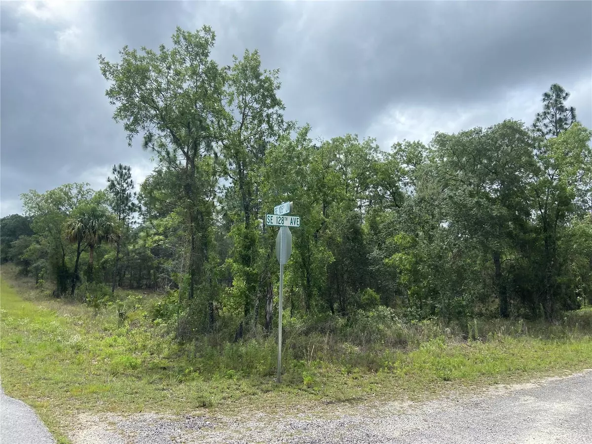 Dunnellon, FL 34431,Lot 1 128TH