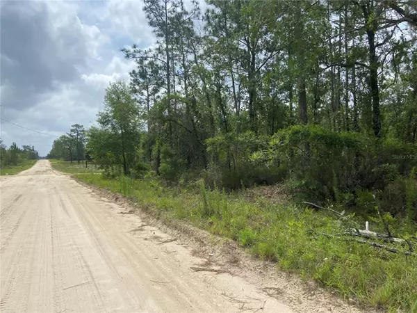 Williston, FL 32696,TBD NE 12TH ST