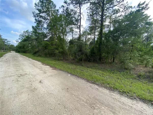 Morriston, FL 32668,00 SE 20 ST