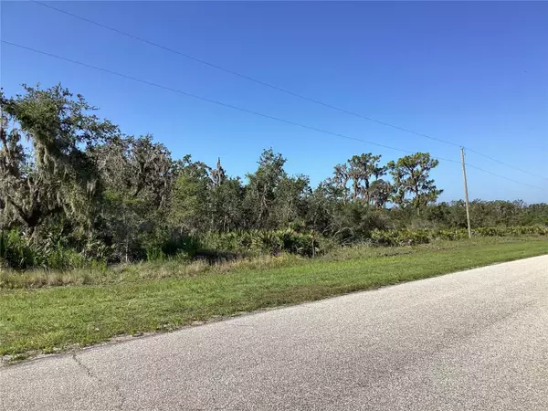 Myakka City, FL 34251,40526 11TH AVE E