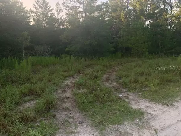 Williston, FL 32696,Lot 19 NE 139TH AVE