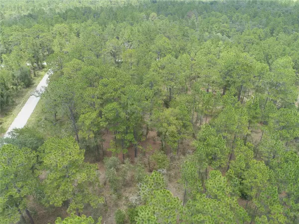 Dunnellon, FL 34431,Lot 37 NW WINDING HILLS RD