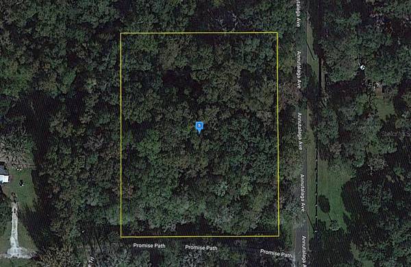 14243 ANNUTALAGA AVE,  Brooksville,  FL 34601