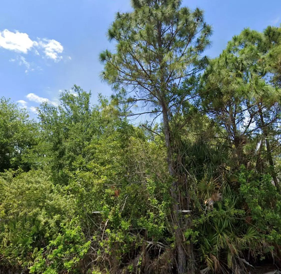 Port Charlotte, FL 33981,5419 CHARD TER