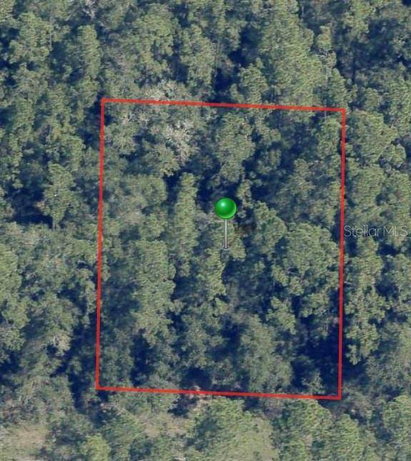 Citrus Springs, FL 34434,225 E ENFIELD LN
