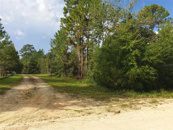 Williston, FL 32696,TBD NE 63RD PL